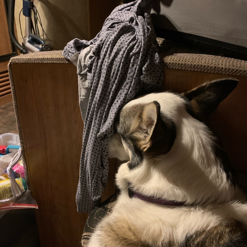 Meet your Posher, Melissa